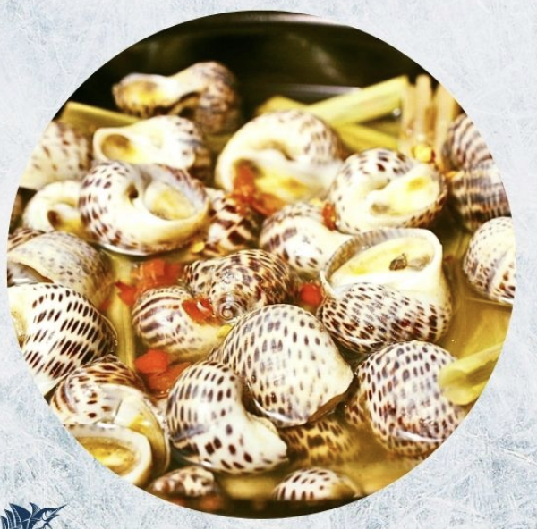 Oceans-888-Frozen-Cooked-Tiger-Moon-Snail---800g-1