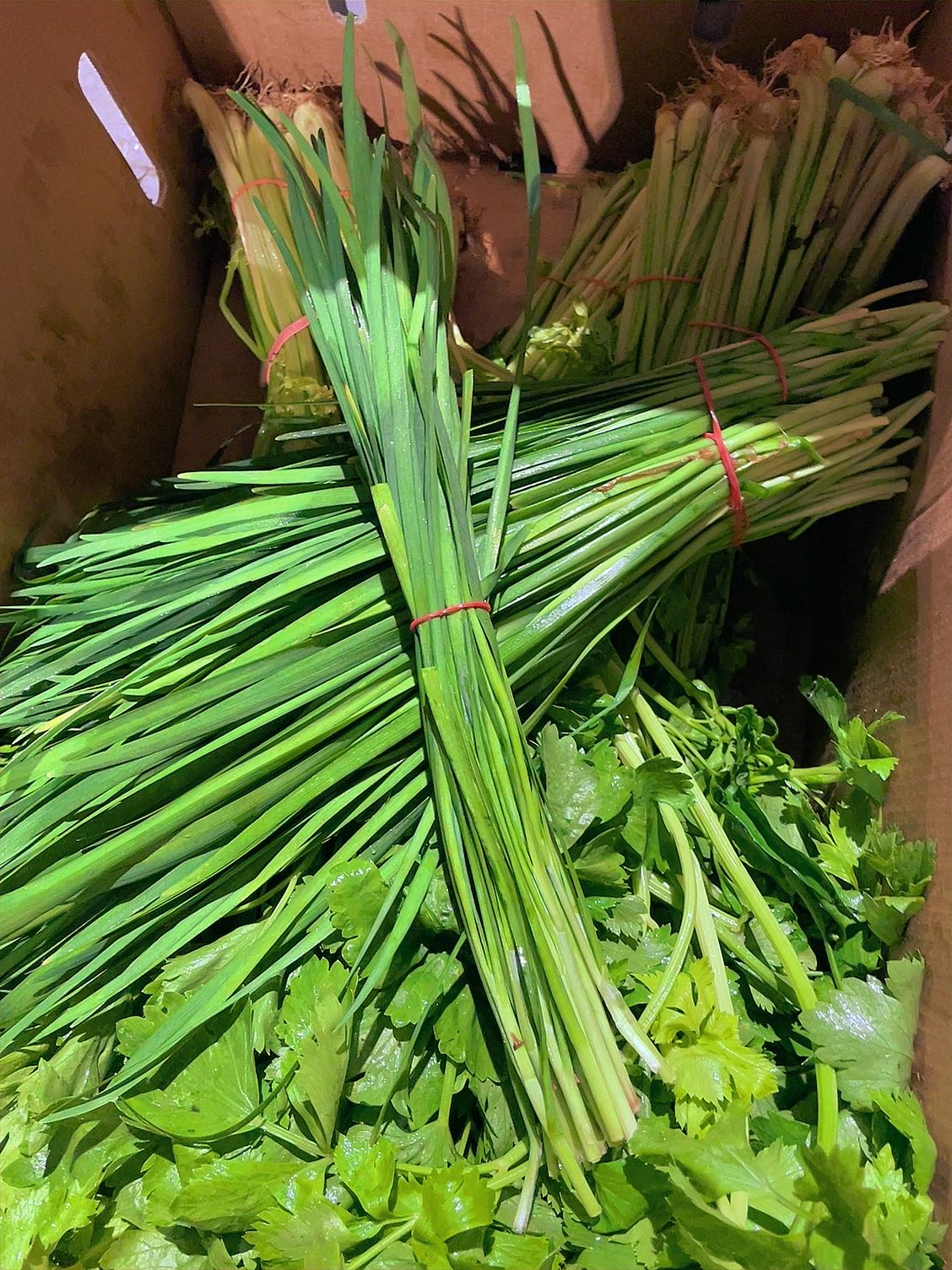 [Fresh]-Bundle-of-Chives---Pack-of-2-1