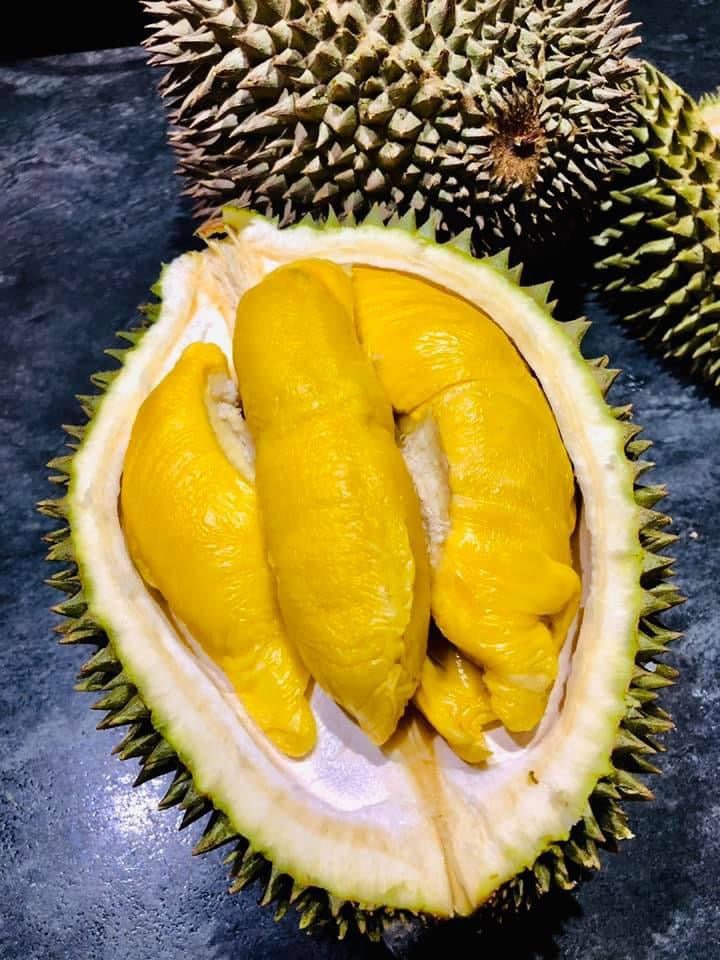 D197-Premium-Malaysian-Musang-King-Durian---1.8-2kg-1