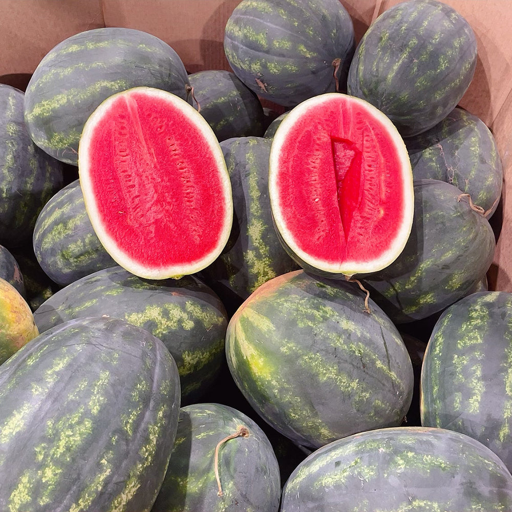 [Fresh]--Extra-Large-Super-Sweet-Sand-Melon---Approximately-6-7kg-1