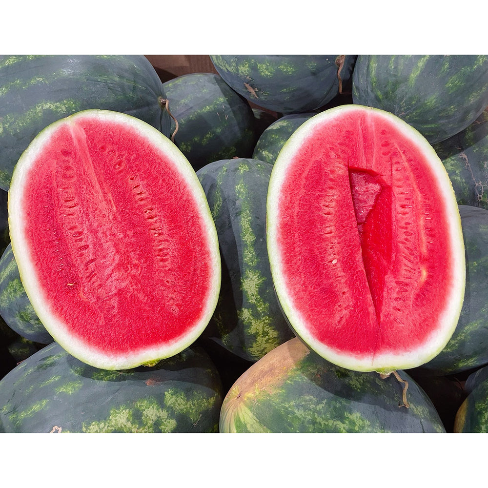 Extra-Large-Super-Sweet-Watermelon---1-Piece,-10kg+ -1