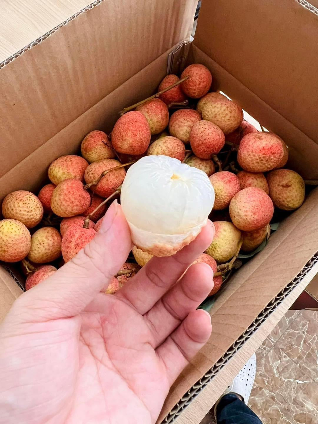 Imported-Sticky-Rice-Lychee---1kg-1