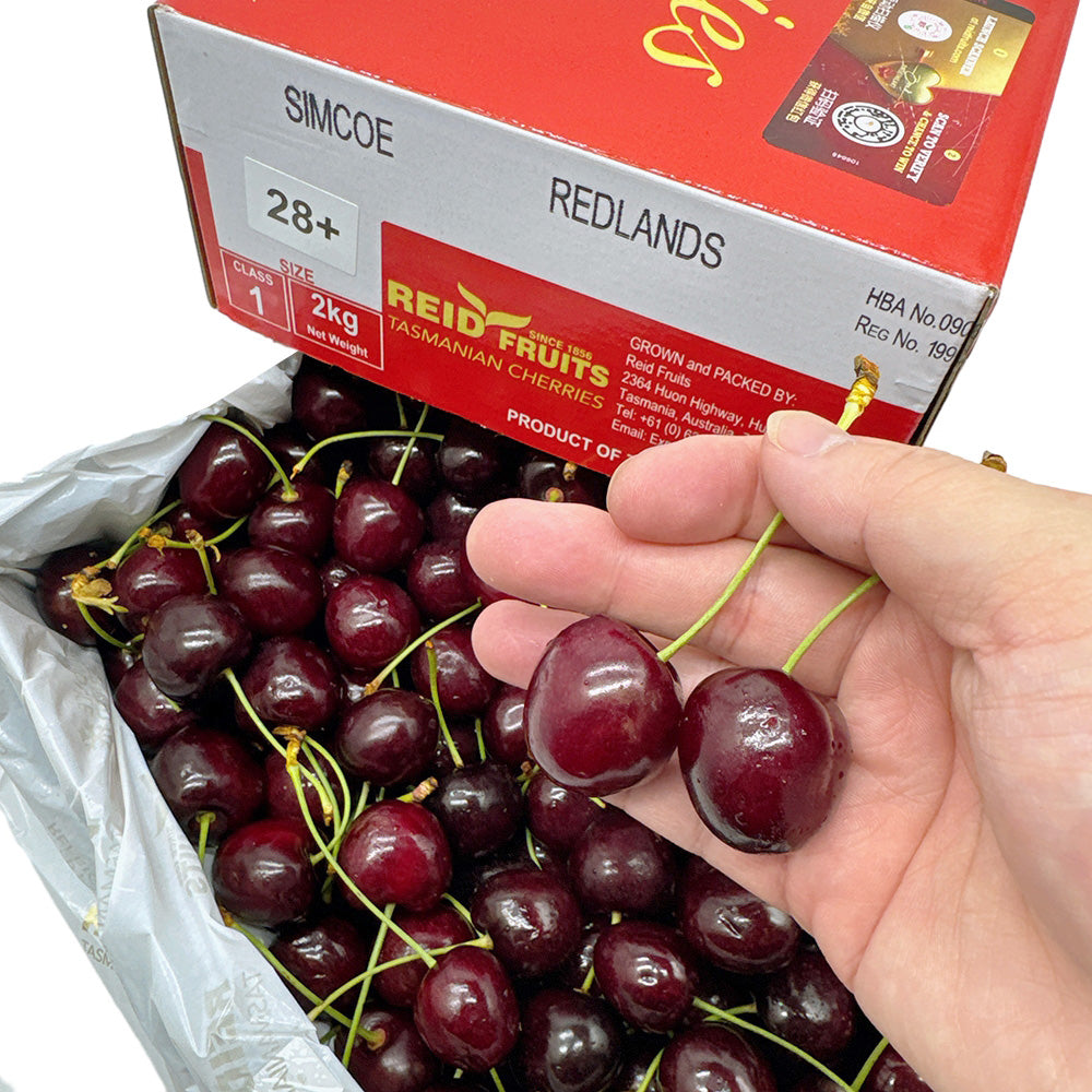 Reid-Fruits-Tasmanian-Cherries-Gift-Box-28mm+---2kg-1