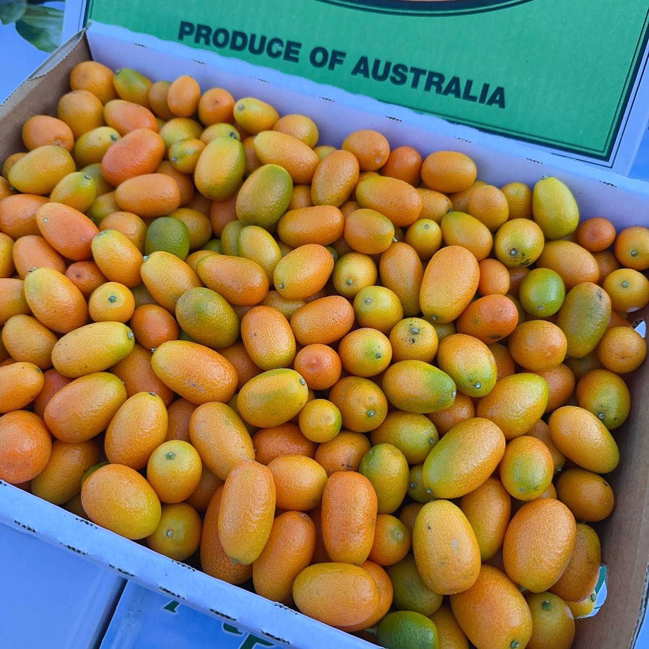 Super Sweet Kumquats, 500g