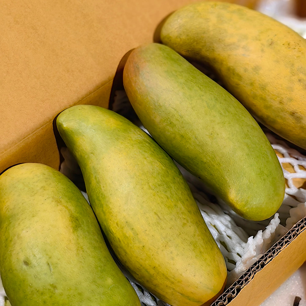 Imported-Moon-Bay-Mangoes-from-Thailand---2-Pieces-1