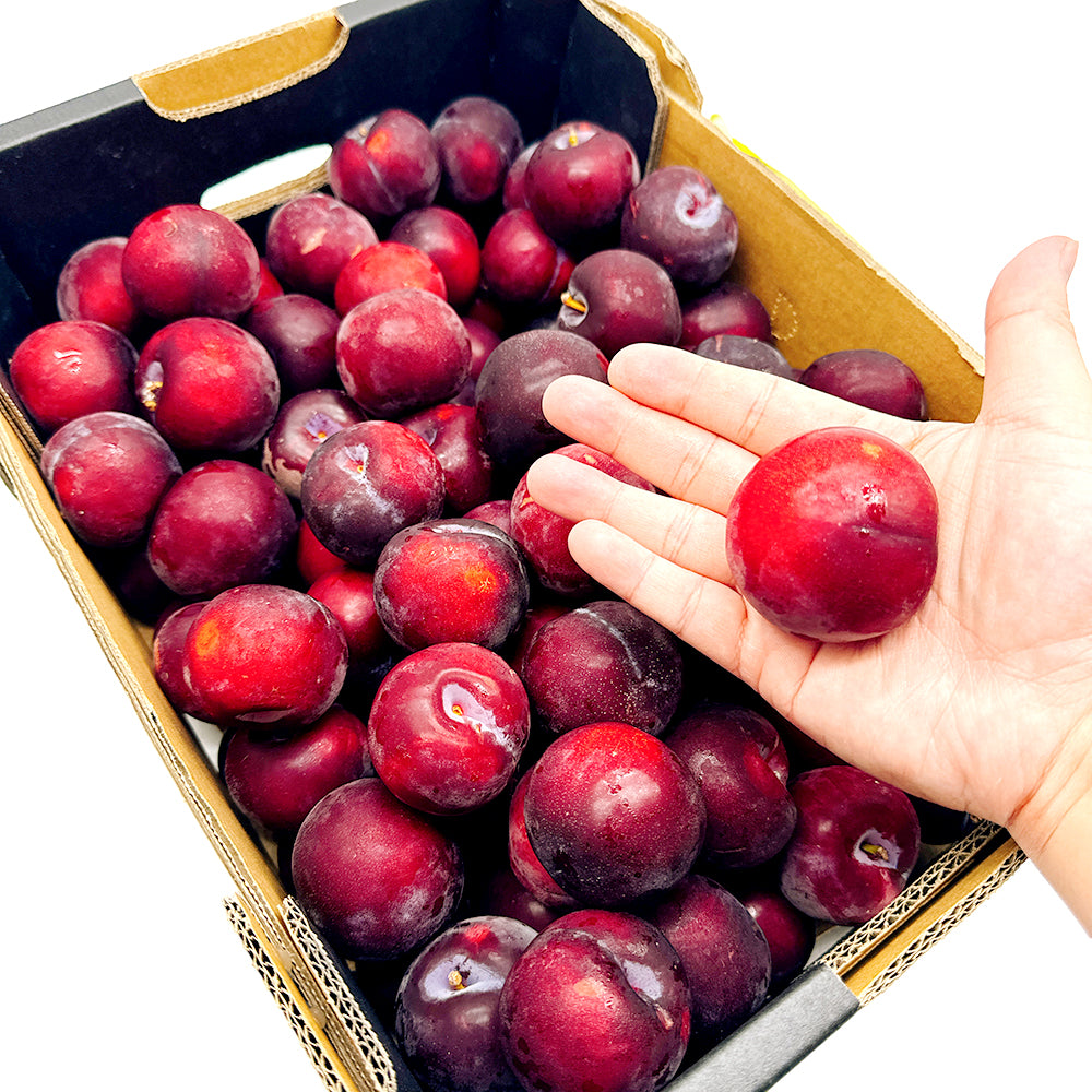 Fresh-Plums---500g-1