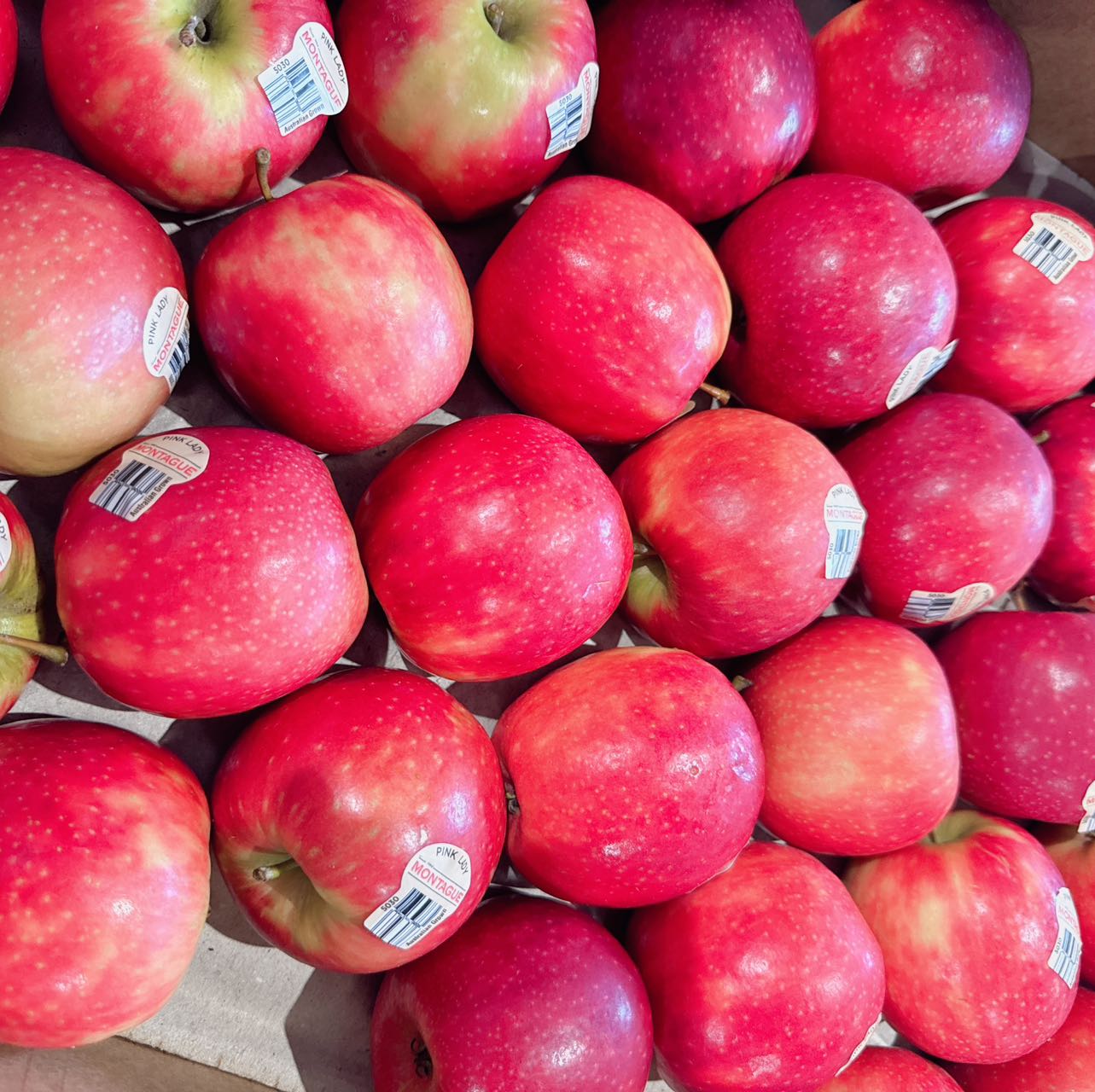 [Fresh]--Pink-Lady-Apples-Approximately-1-1.2kg-1