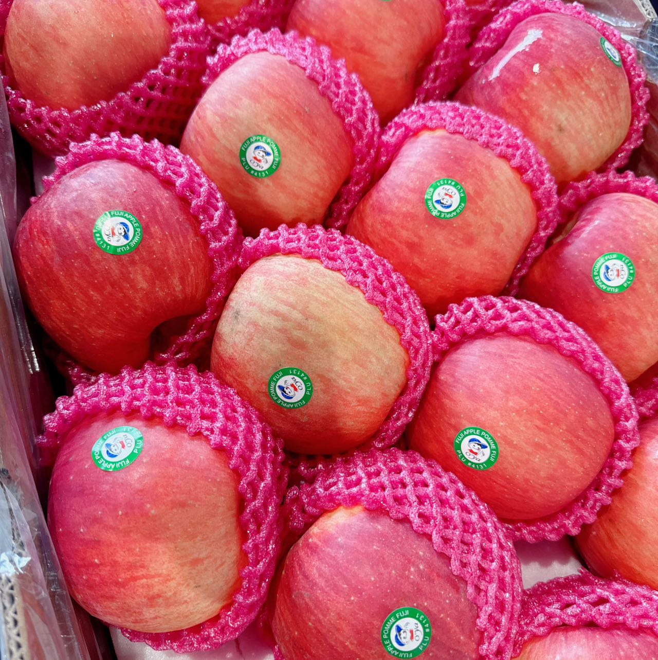 [Fresh]--Chinese-Red-Fuji-Apples-Approximately-1-1.2kg-1