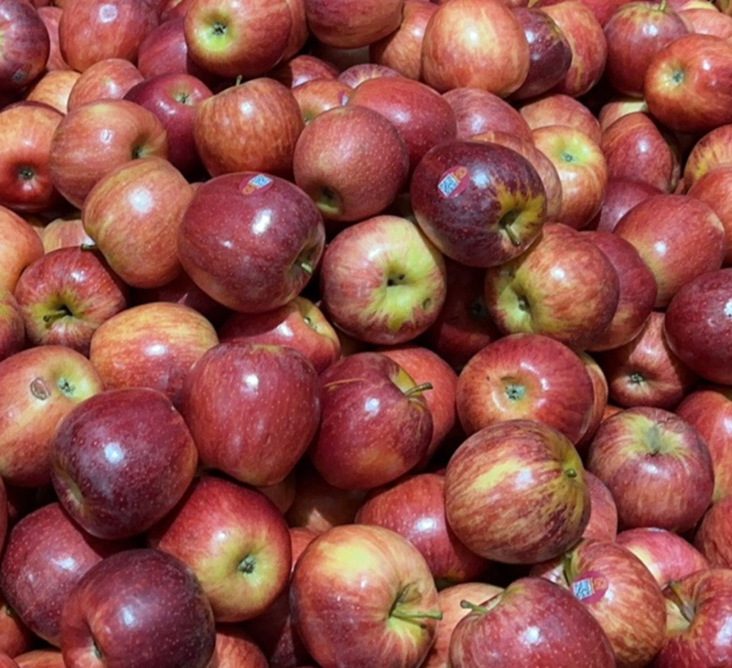 Discount-Gala-Apples---Approx.-1kg-(Bulk-Bin) -1