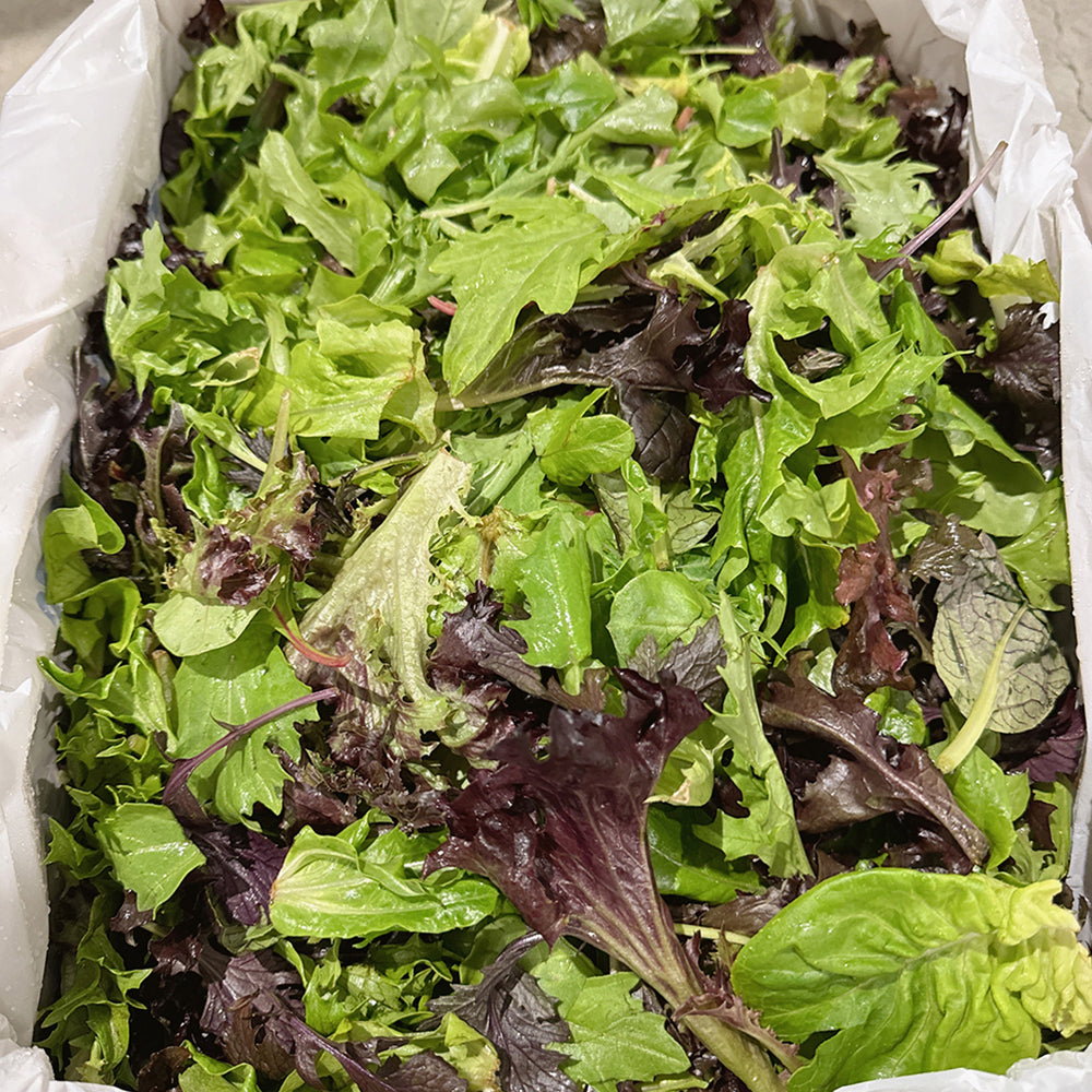 Mixed-Salad-Greens---300g-1