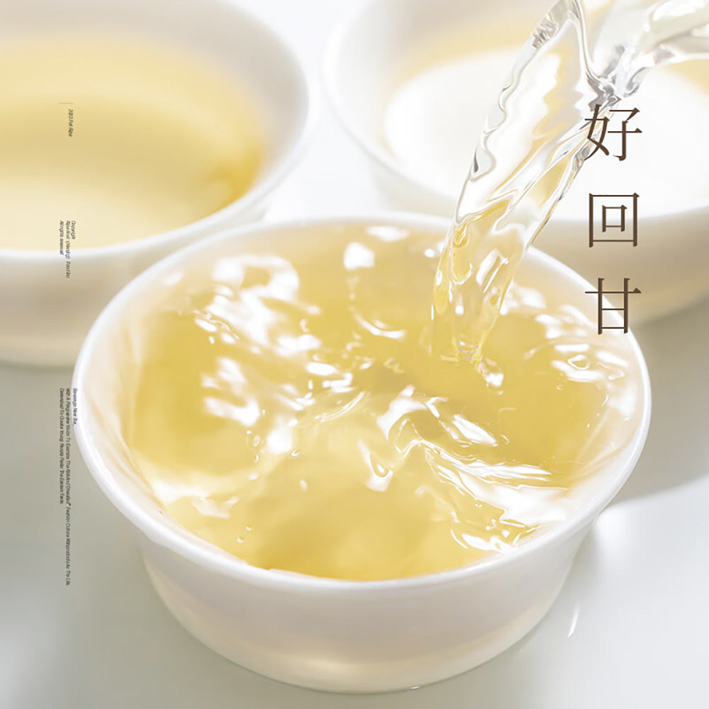 Ripe-Fruit-Brand-Longjing-Jasmine-Tea-500ml-1