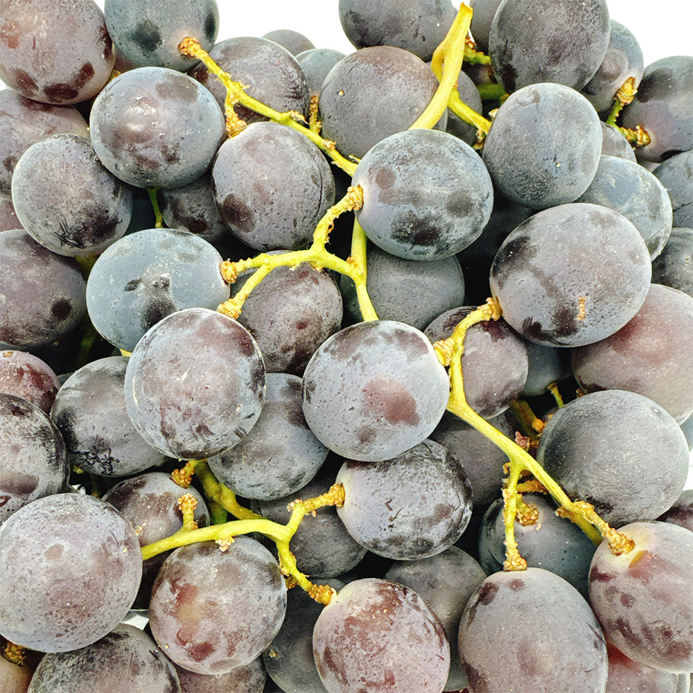 Kyoho-Air-Flown-Grapes-from-USA---1.3kg-1