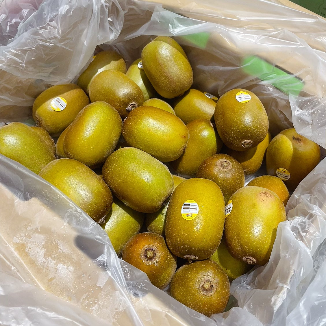 [Fresh]--Local-Golden-Kiwi-Approximately-500g-1