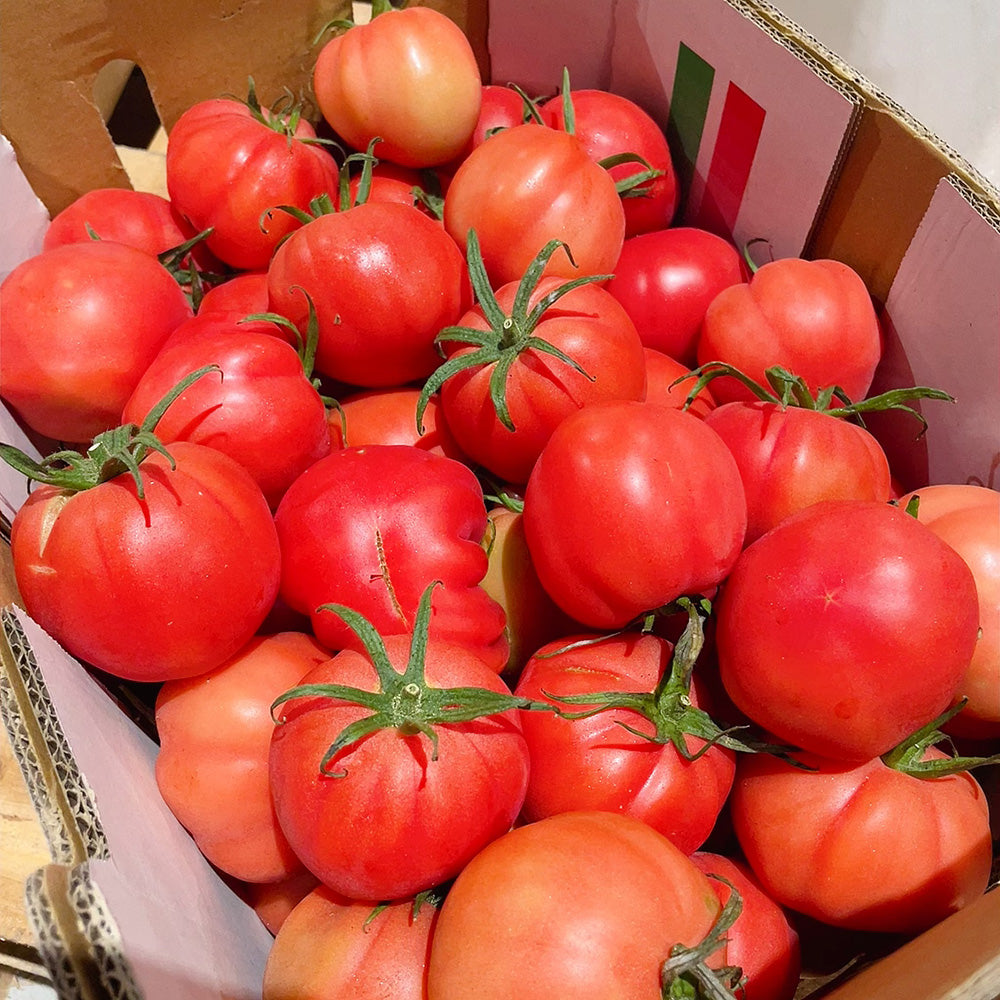 Small-Oxheart-Tomatoes---1kg -1