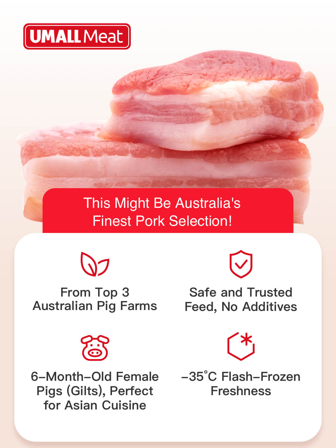 Frozen Pork Fat - 500g