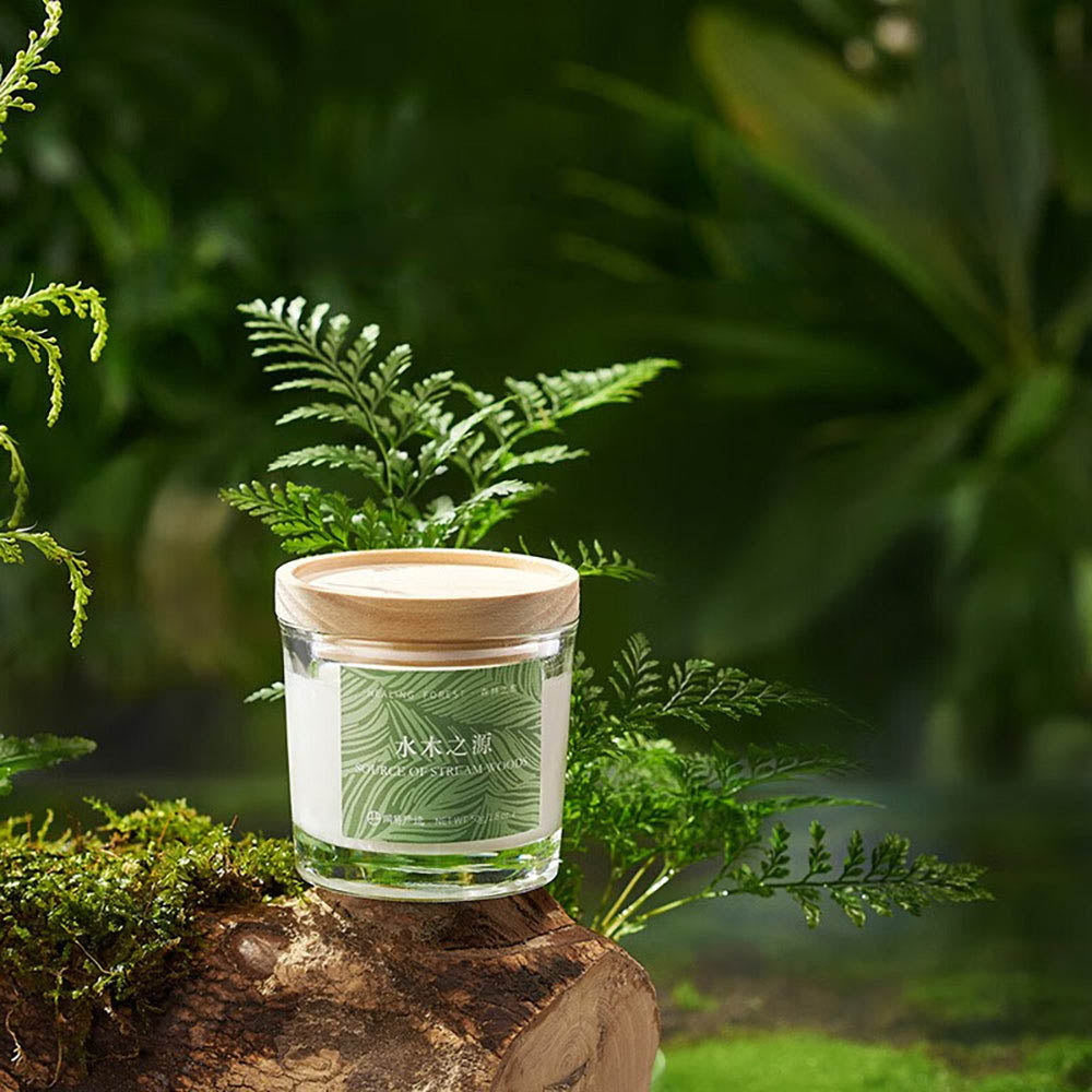 Lifease Healing Forest Aromatherapy Candle - Source of Stream Woods - 50g