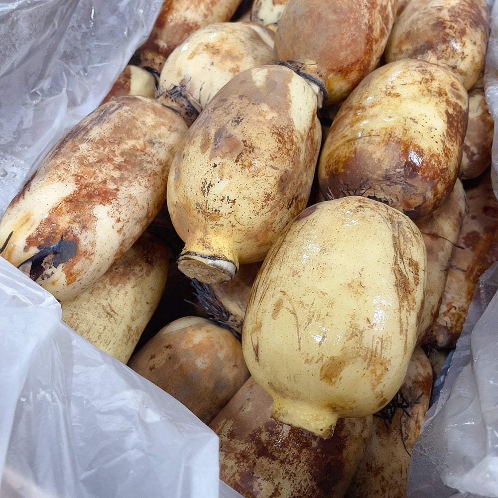 Fresh-Lotus-Root---1.5-1.8kg -1