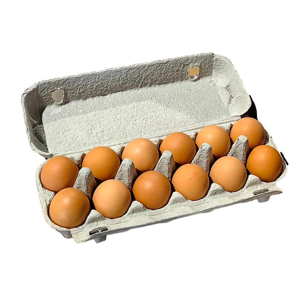 First-Choice-Farm-Fresh-Cage-Eggs-XL---12-Pieces,-700g-1