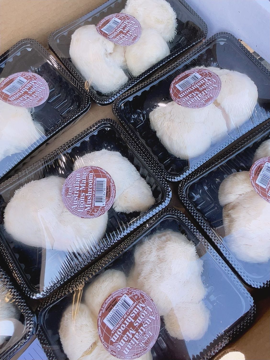 Fresh Lion's Mane Mushrooms - 200g