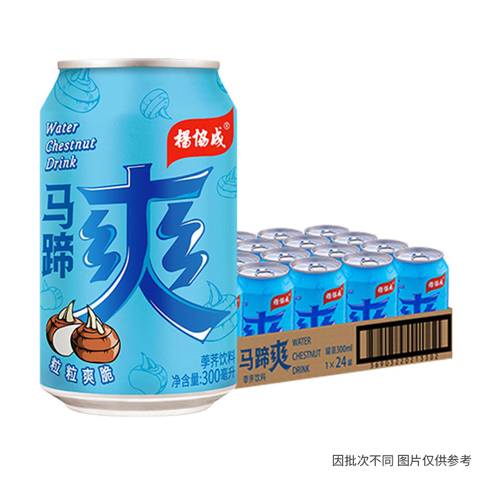 Yeos-Water-Chestnut-Drink---300ml-x-24-Cans-1