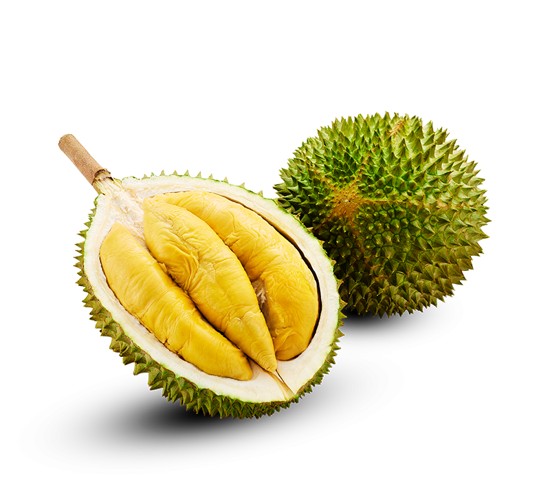 Frozen Netted Musang King Durian - 1.2-1.3kg Each