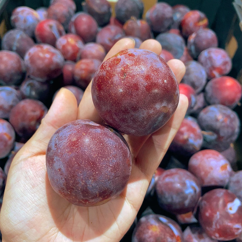 Red-Flesh-Plums---1kg -1