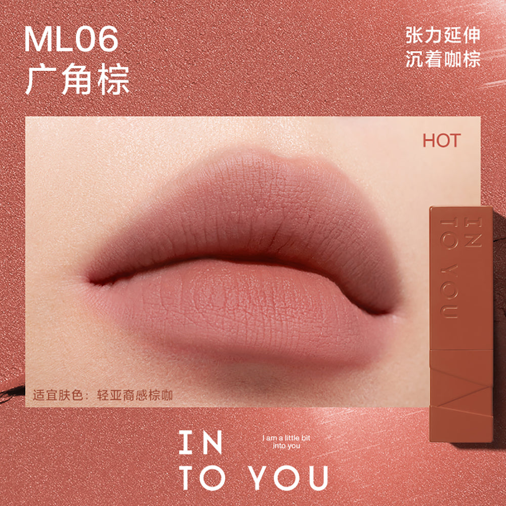 INTO-YOU-Matte-Lipstick-#ML06-1