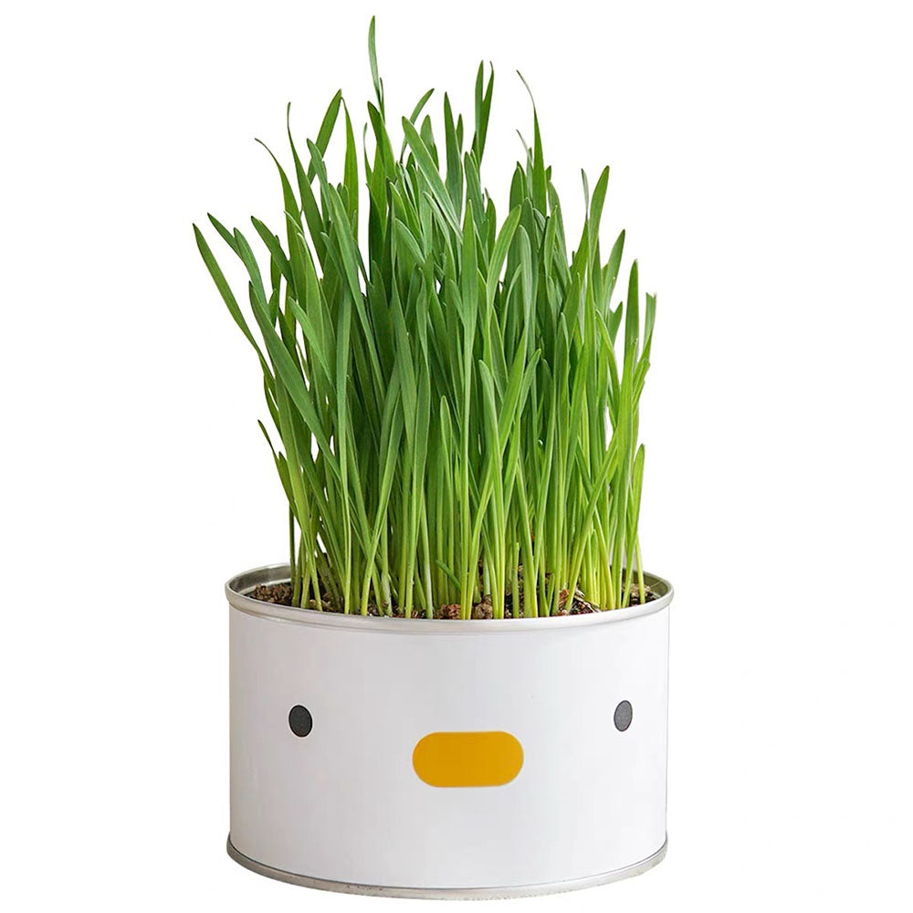 Purroom-Cat-Grass-Can-1