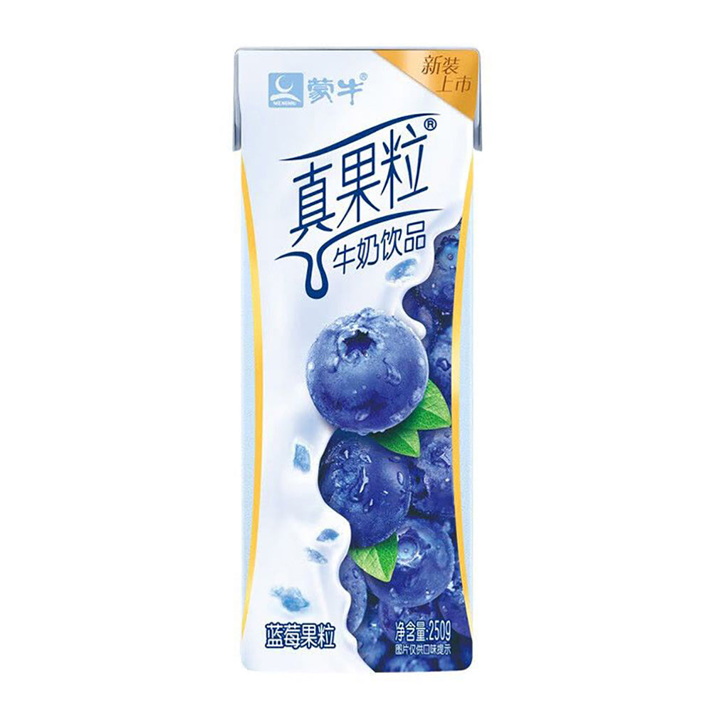 Mengniu-Real-Fruit-Milk-Drink-Blueberry-Flavor---250ml-1