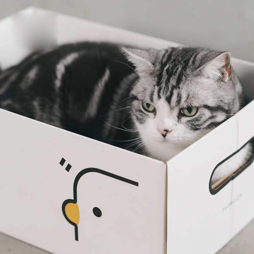 Purroom-New-Cat-Scratching-Box---Chicken-Pattern-1