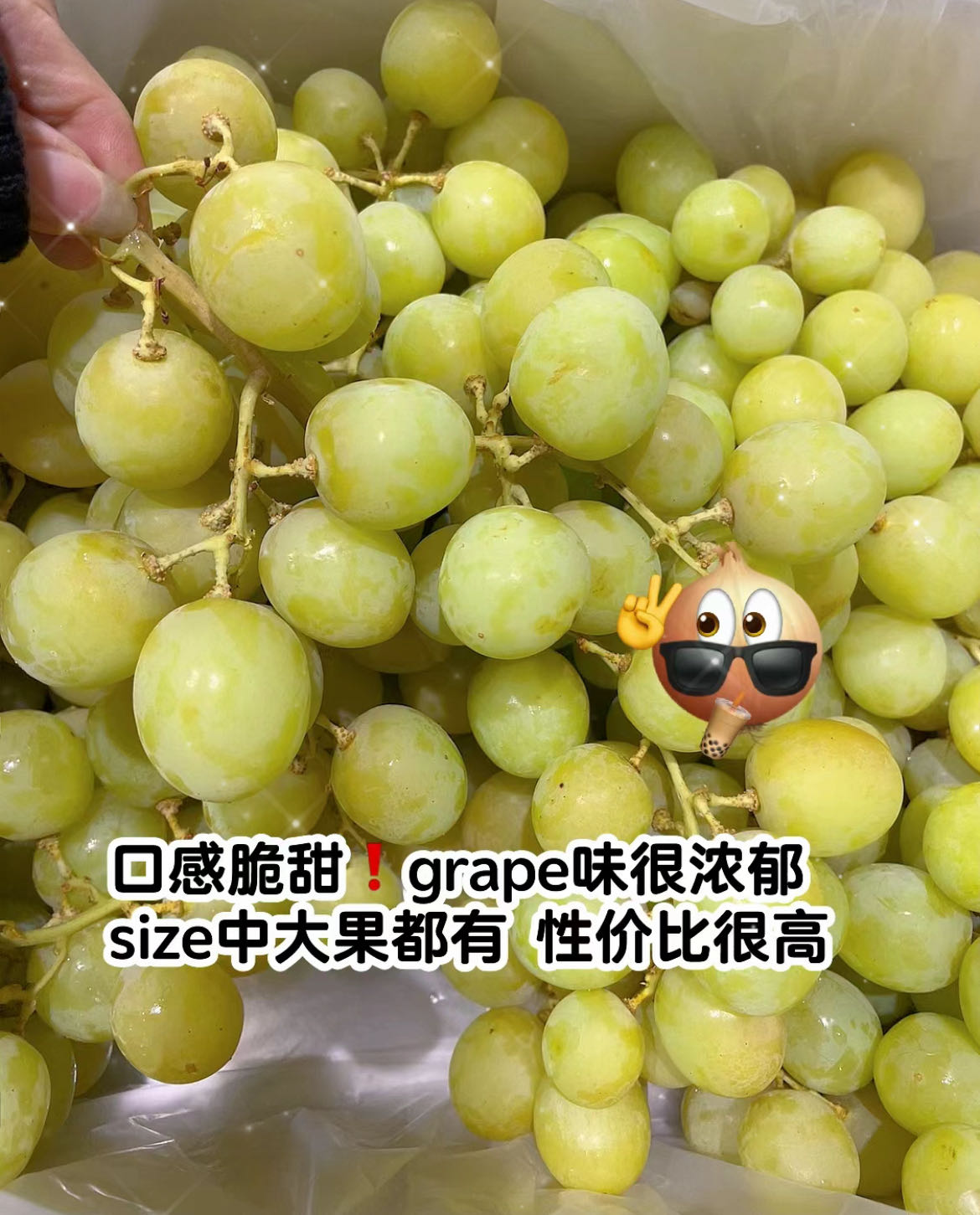 Kyoho-King-Shine-Muscat-Grapes---1kg -1