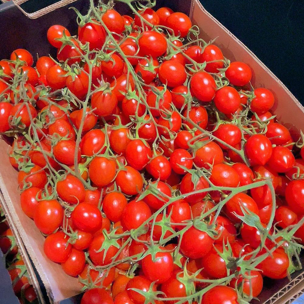 Super-Sweet-Roma-Cherry-Tomatoes---Box-of-4.8kg-1