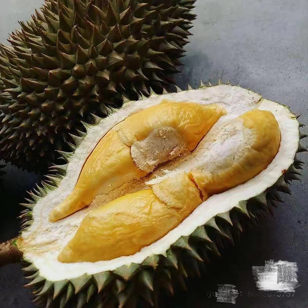 Dking-Frozen-D163-Gourd-Durian---1.6-1.8kg-1