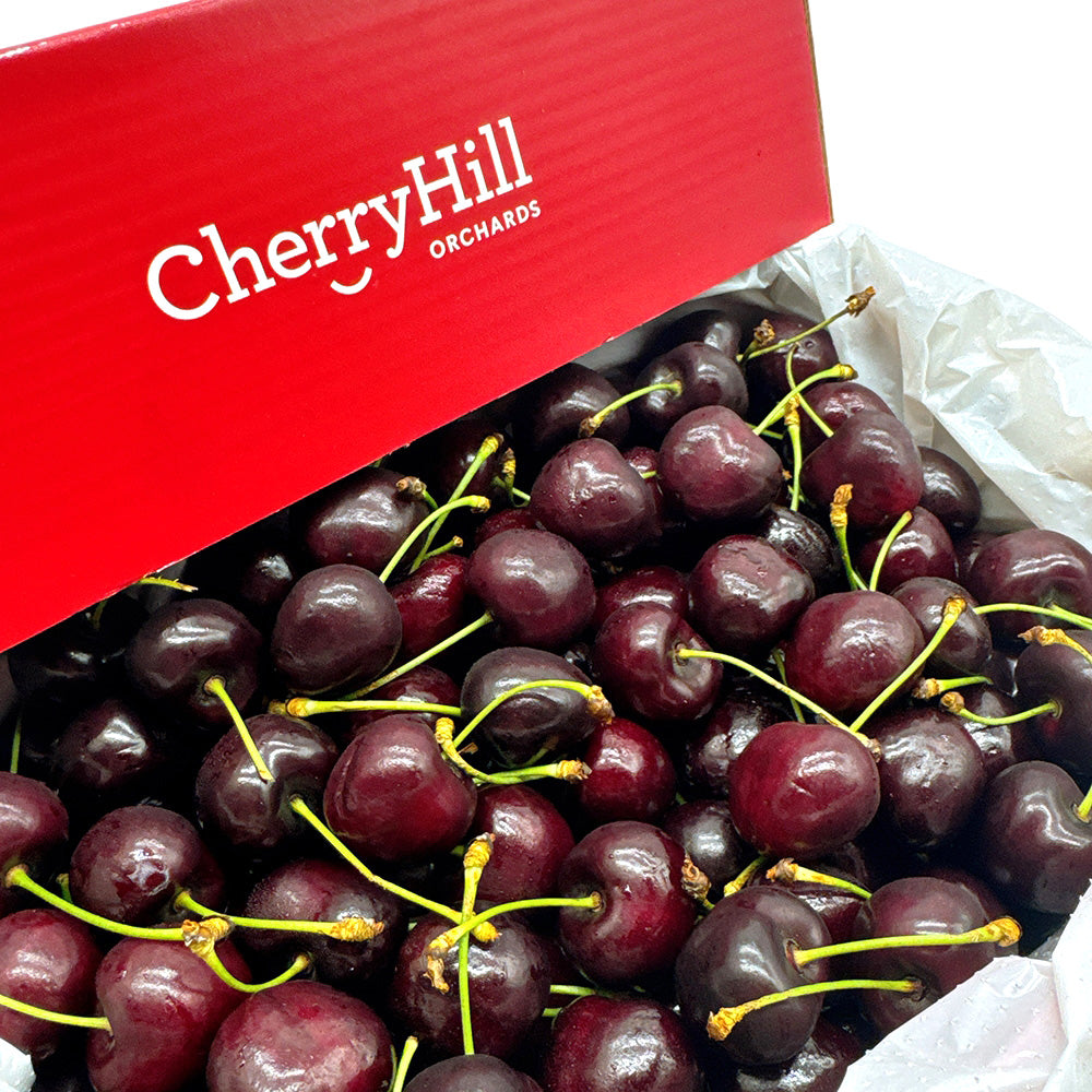 CherryHill-Nordwunder-Cherries-Gift-Box-30-32mm---2kg-1