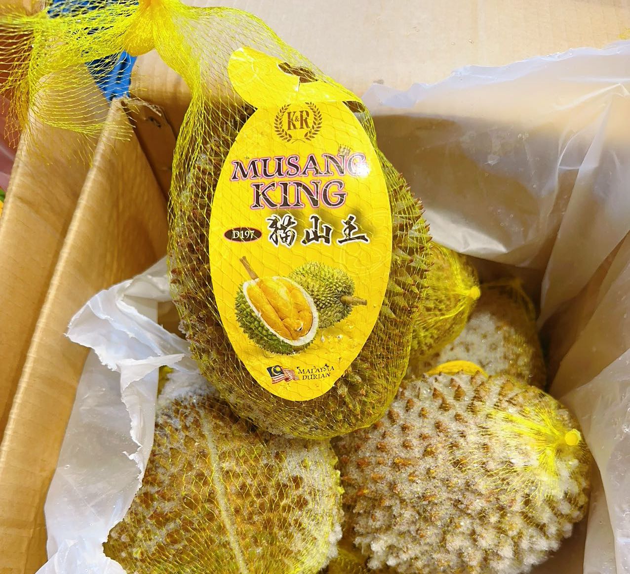 Netted-D197-Musang-King-Durian---2-2.2kg-1