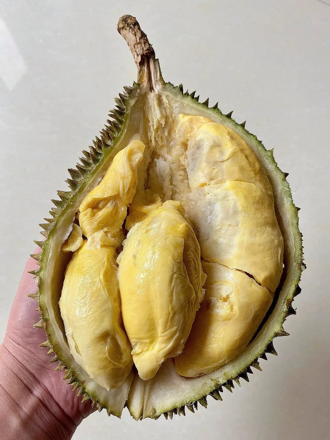 Umall-Frozen-D2-Datuk-Nina-Lover's-Dream-Durian---2.2kg-1