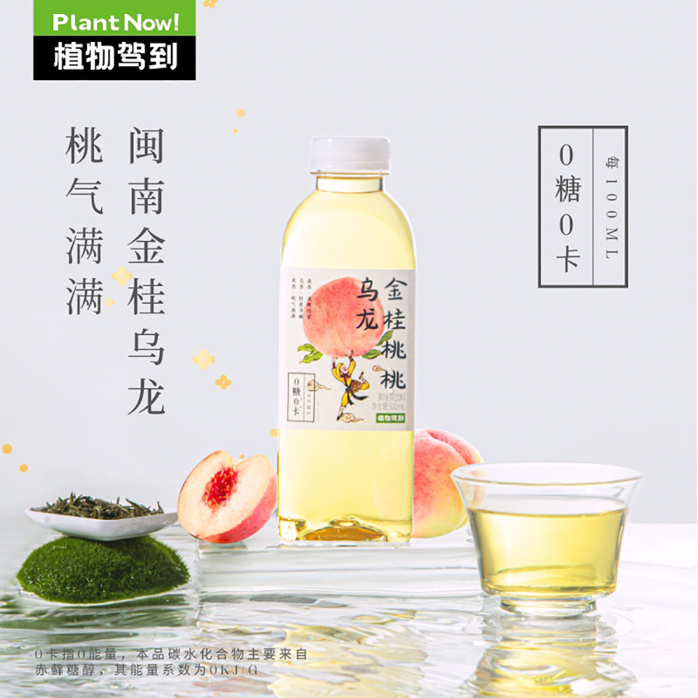 Plant-Now-Golden-Osmanthus-Peach-Oolong-Tea,-Zero-Sugar,-Zero-Calorie---500ml-1