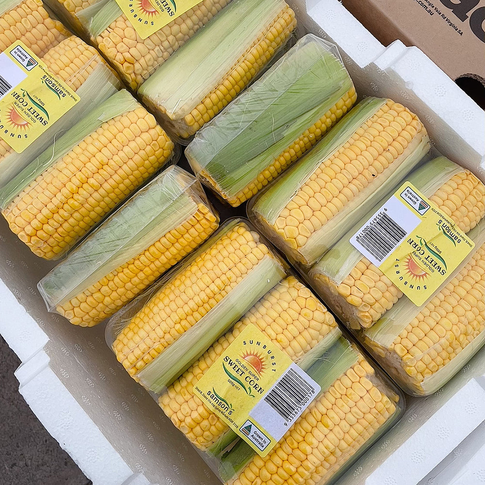 [Fresh]-Corn-on-the-Cob-(Top-Removed)---Pack-of-3-(Cut-into-Sections)-1