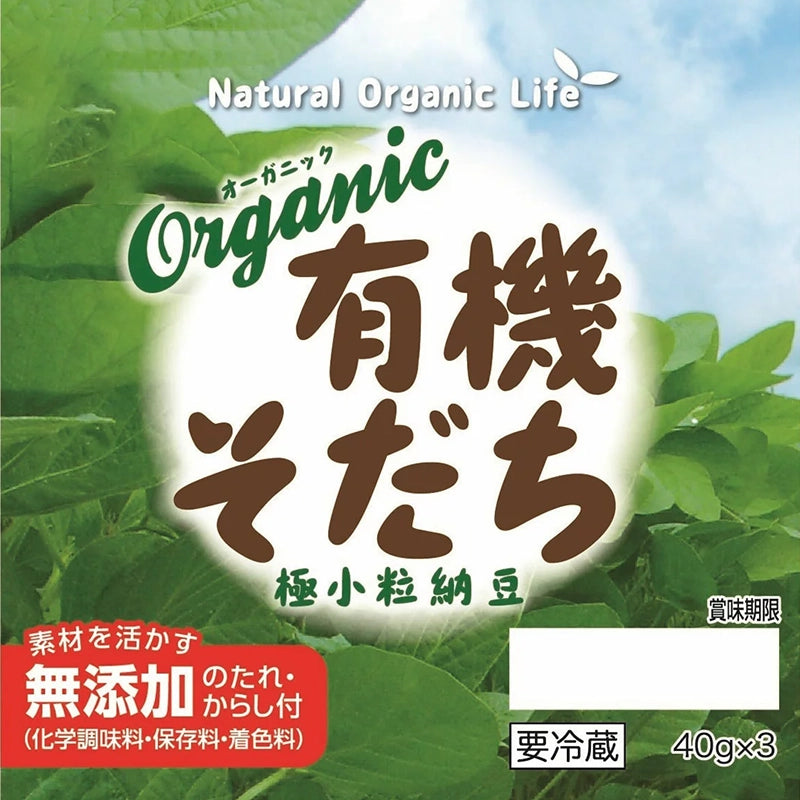 Azuma-Organic-Small-Grain-Natto---40g-x-3-Packs-1