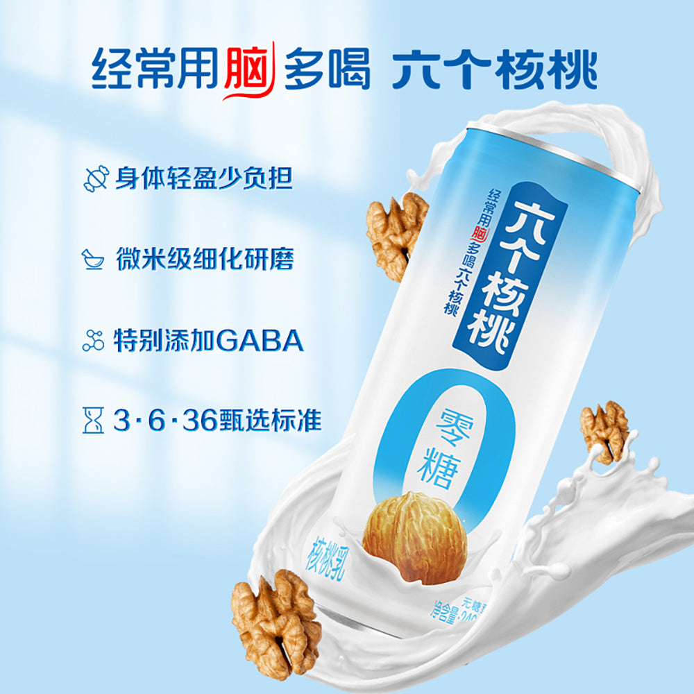 Six-Walnuts-Sugar-Free-Walnut-Milk---240ml-x-20-Bottles-1