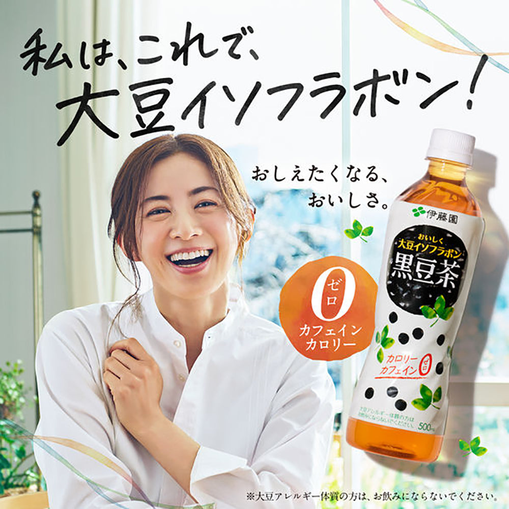 Ito-En-Black-Soybean-Tea-500ml-1