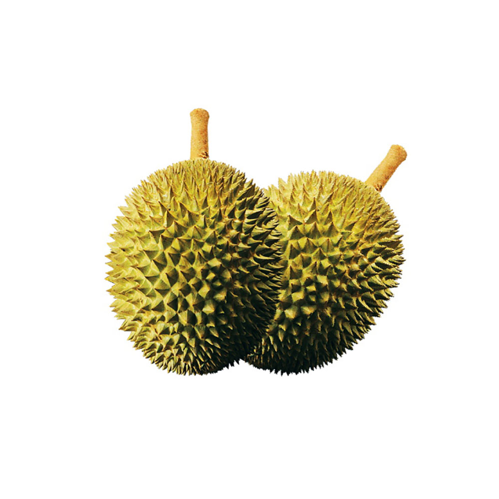 Hernan Musang King Durian 1.2-1.4kg