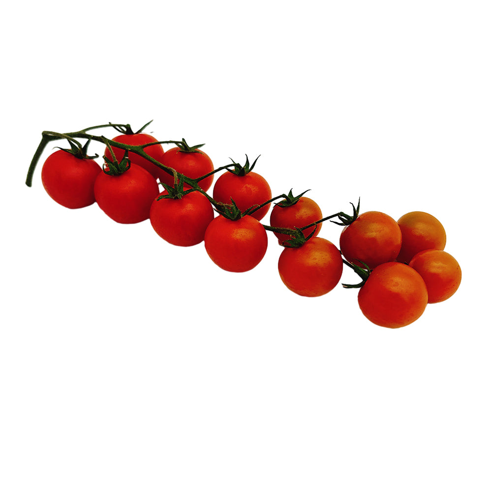 Super Sweet Roma Cherry Tomatoes - Box of 5kg