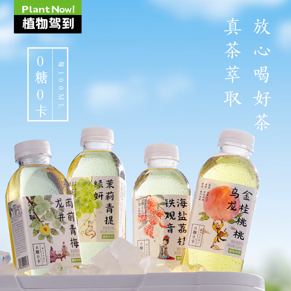 Plant-Arrival-Rain-Pre-Qingmei-Longjing-Tea,-Zero-Sugar,-Zero-Calorie---500ml-1