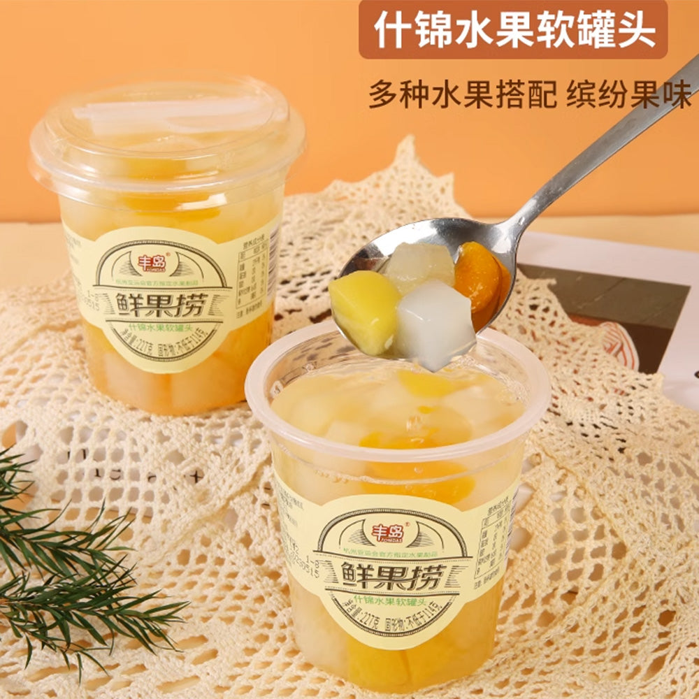 Fengdao-Canned-Assorted-Fruits---227g-1