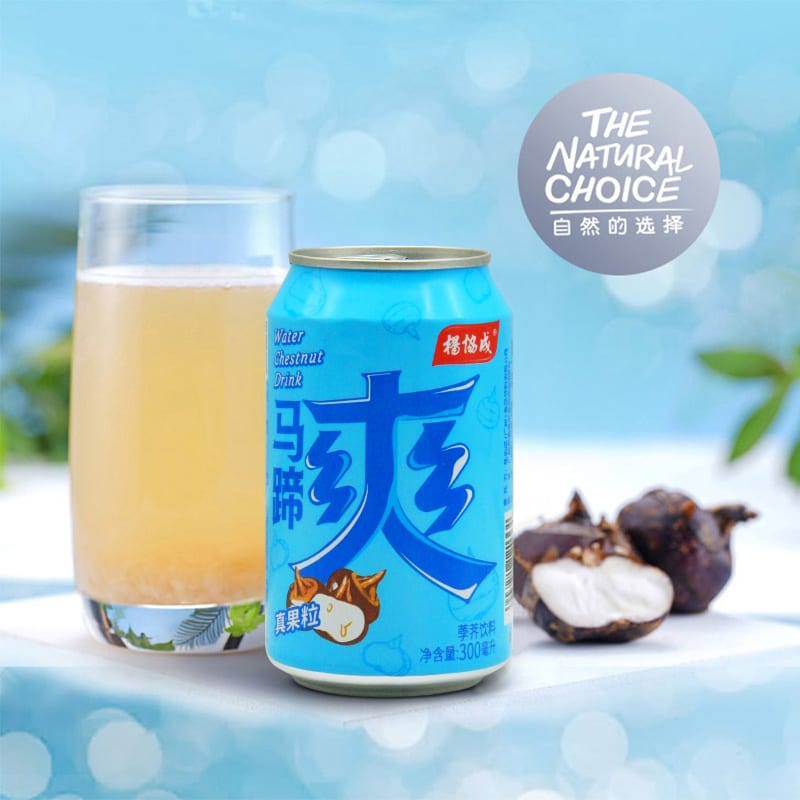 Yeo's-Water-Chestnut-Drink-with-Crunchy-Bits---300ml,-Pack-of-24-1