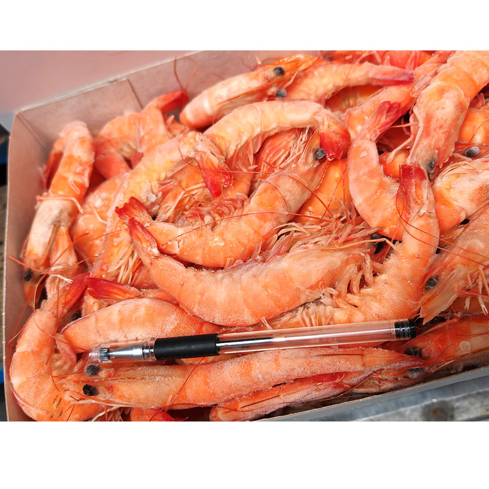 Saudi-Arabian-Red-Sea-Premium-Sweet-Shrimp-Size-30/40---2KG-Box-1