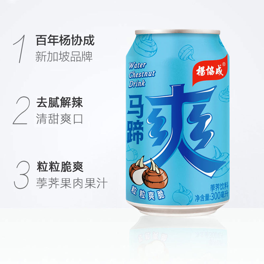 Yeos-Water-Chestnut-Drink---300ml-x-24-Cans-1