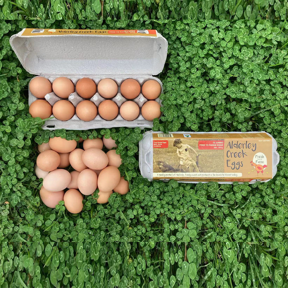 Fresh-Farm-Alderley-Creek-Jumbo-Free-Range-Eggs-12pcs--800g-1