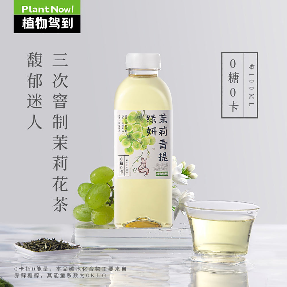 Plant-Arrival-Jasmine-Green-Grape-Drink---Zero-Sugar,-Zero-Calorie,-500ml-1